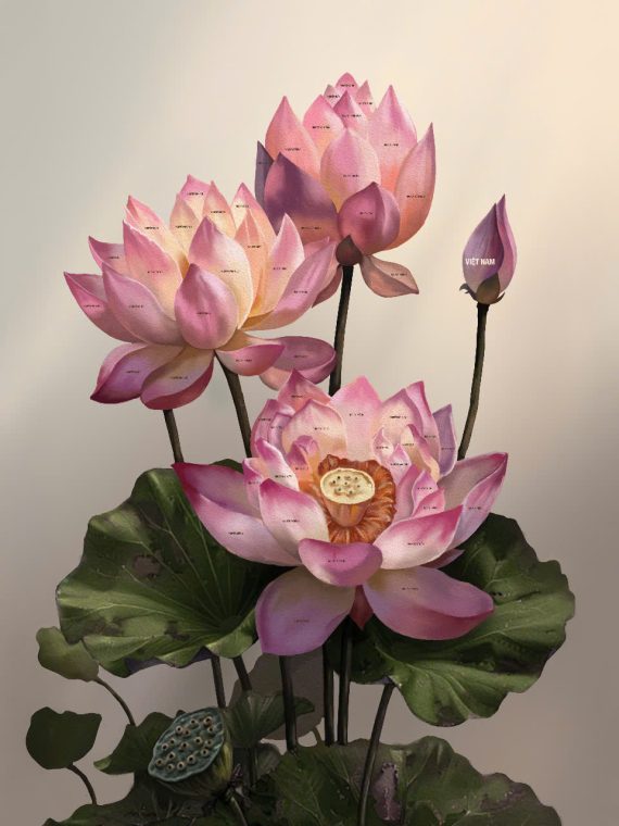 Ảnh gốc
