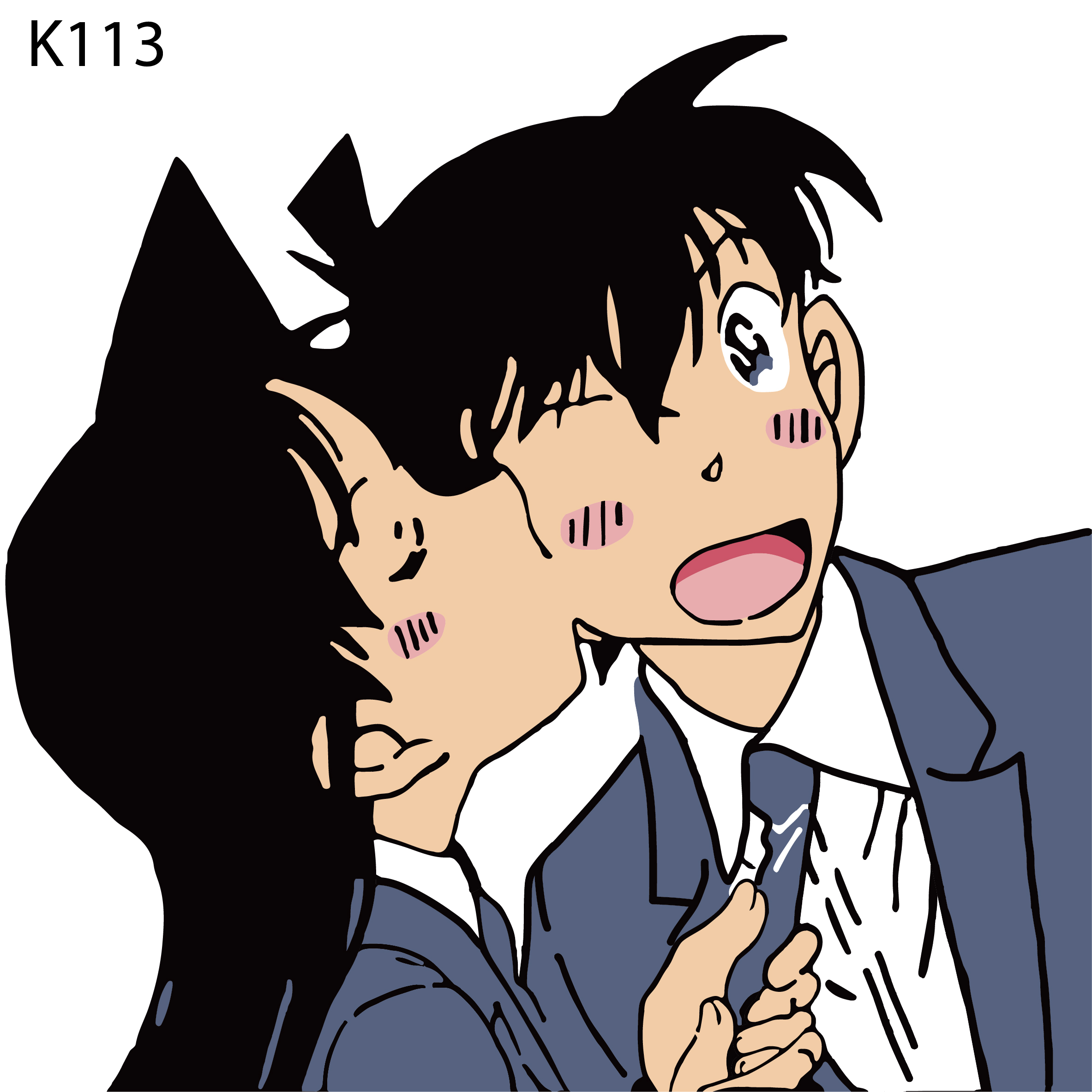 K113